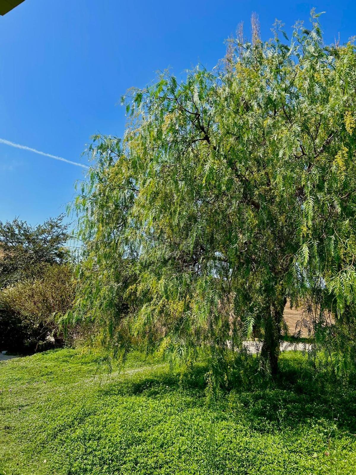 Agriturismo Podere Farnesiana Tarquinia Dış mekan fotoğraf
