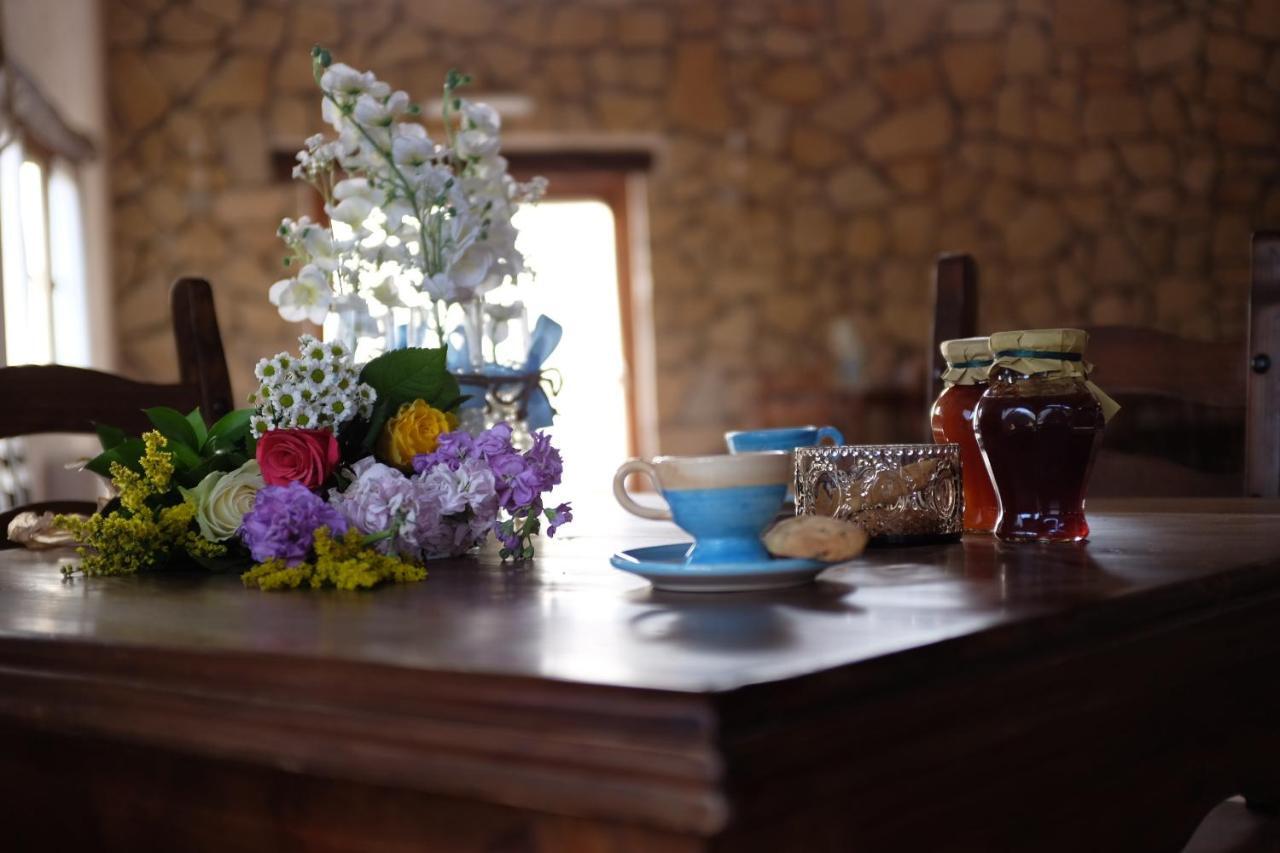 Agriturismo Podere Farnesiana Tarquinia Dış mekan fotoğraf